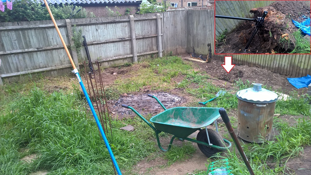 garden 1